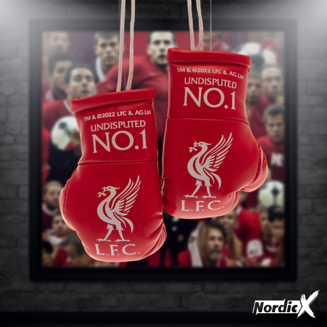 Liverpool FC Mini Boksehandsker
